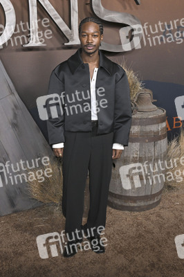 Serienpremiere 'The Abandons' in Los Angeles