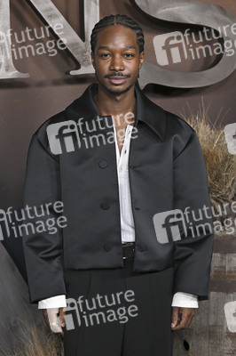 Serienpremiere 'The Abandons' in Los Angeles