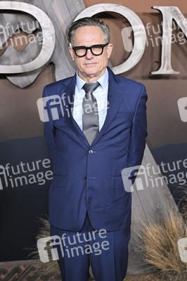 Serienpremiere 'The Abandons' in Los Angeles