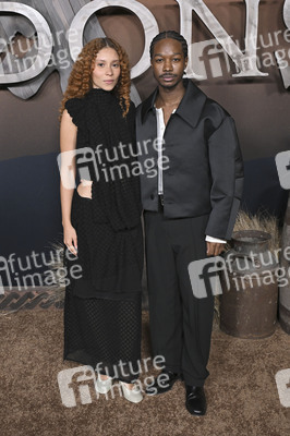 Serienpremiere 'The Abandons' in Los Angeles