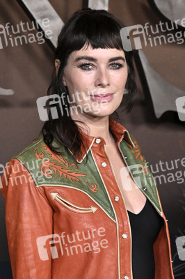 Serienpremiere 'The Abandons' in Los Angeles