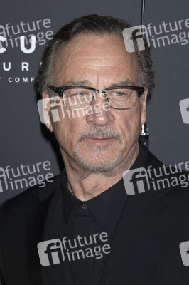 Filmpremiere 'Song Sung Blue' in New York