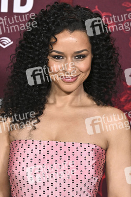 Filmpremiere 'The Housemaid - Wenn sie wüsste' in Los Angeles