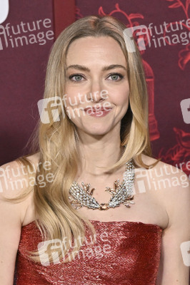 Filmpremiere 'The Housemaid - Wenn sie wüsste' in Los Angeles