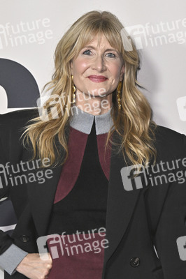 Filmpremiere 'Is This Thing On?' in Los Angeles