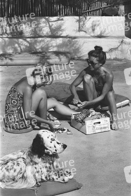 Brigitte Bardot gestorben