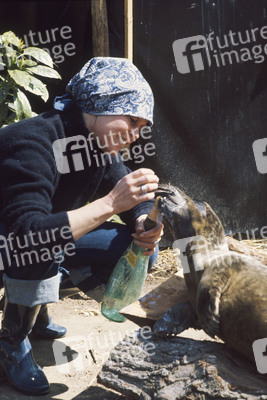 Brigitte Bardot gestorben