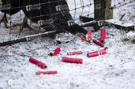 Symbolbild Feuerwerkskörper-Müll