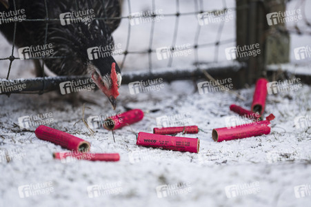 Symbolbild Feuerwerkskörper-Müll