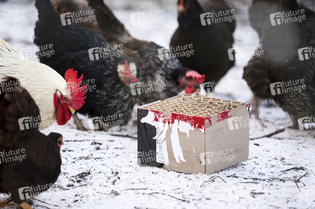 Symbolbild Feuerwerkskörper-Müll