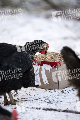 Symbolbild Feuerwerkskörper-Müll