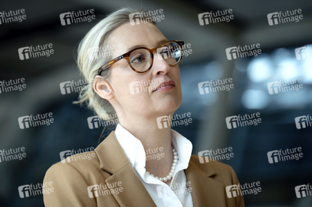 Fraktionssitzung der AfD-Bundestagsfraktion in Berlin