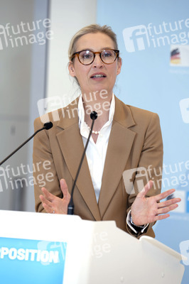 Fraktionssitzung der AfD-Bundestagsfraktion in Berlin