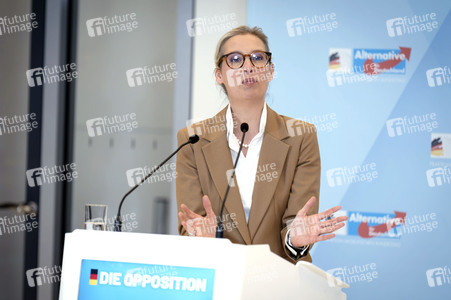 Fraktionssitzung der AfD-Bundestagsfraktion in Berlin