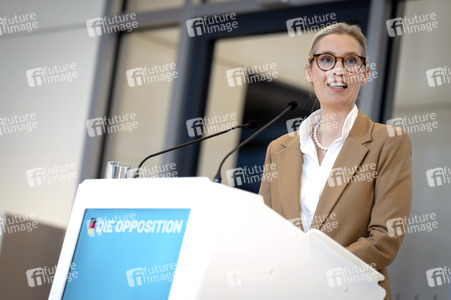 Fraktionssitzung der AfD-Bundestagsfraktion in Berlin