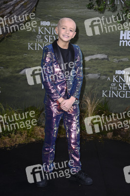 Serienpremiere 'A Knight of the Seven Kingdoms' in Berlin