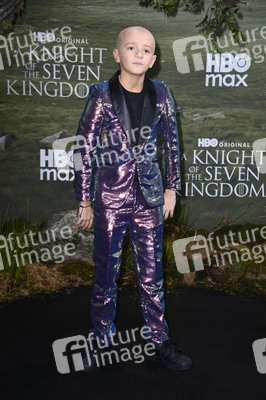 Serienpremiere 'A Knight of the Seven Kingdoms' in Berlin