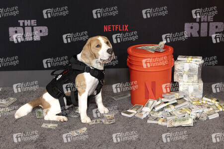 Filmpremiere 'The Rip' in New York