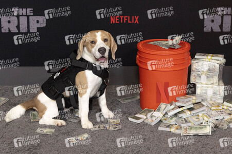 Filmpremiere 'The Rip' in New York