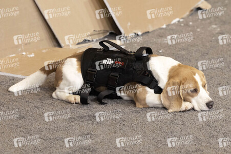 Filmpremiere 'The Rip' in New York