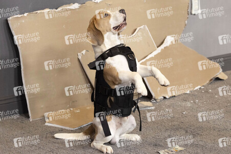 Filmpremiere 'The Rip' in New York