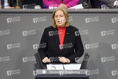 53. Sitzung des Deutschen Bundestages in Berlin