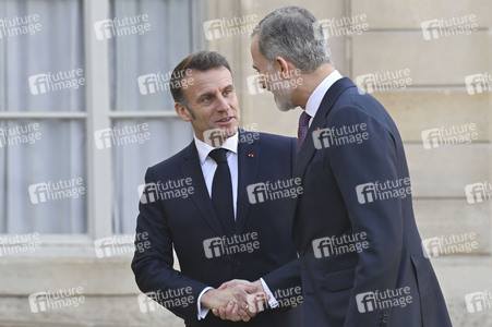 Empfang von König Felipe VI. in Paris