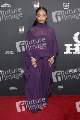 Serienscreening 'The Gray House' in Los Angeles