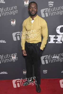 Serienscreening 'The Gray House' in Los Angeles