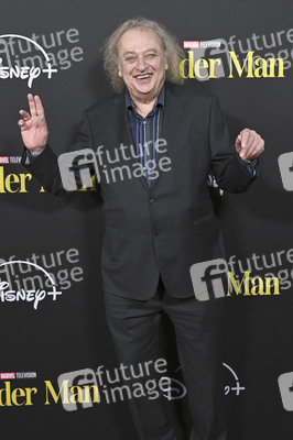 Serienpremiere 'Wonder Man' in Los Angeles