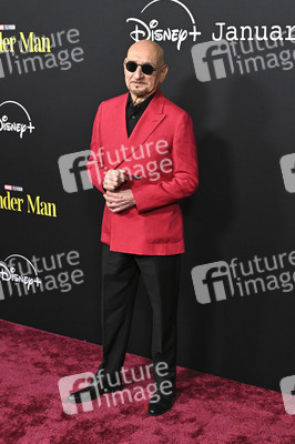 Serienpremiere 'Wonder Man' in Los Angeles