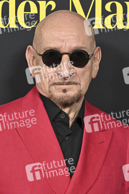 Serienpremiere 'Wonder Man' in Los Angeles