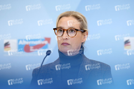 Fraktionssitzung der AfD-Bundestagsfraktion in Berlin