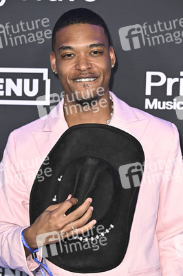 Primary Wave Music Pre-Grammy Party in Beverly Hills