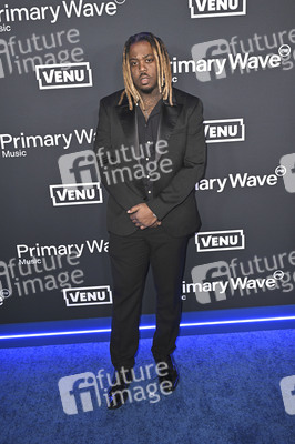 Primary Wave Music Pre-Grammy Party in Beverly Hills