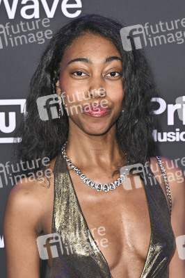 Primary Wave Music Pre-Grammy Party in Beverly Hills