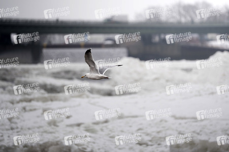 Eisschollen in Geesthacht