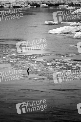 Eisschollen in Geesthacht