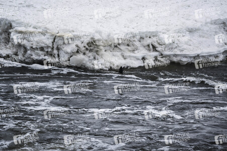 Eisschollen in Geesthacht