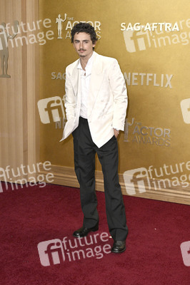 Actor Awards 2026 in Los Angeles