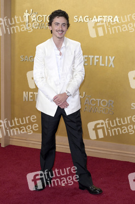Actor Awards 2026 in Los Angeles