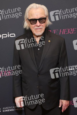 Filmpremiere 'I Live Here Now' in Los Angeles