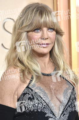 Oscar-Verleihung 2026 in Los Angeles