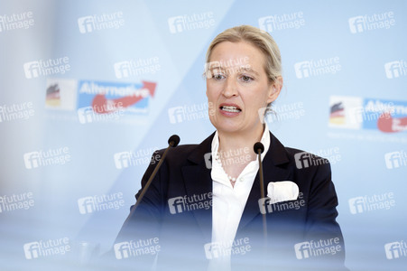 Fraktionssitzung der AfD-Bundestagsfraktion in Berlin