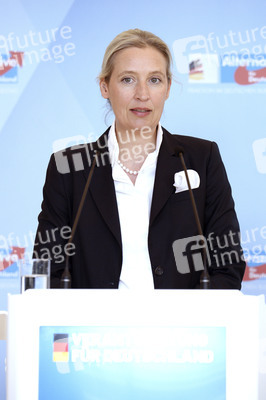 Fraktionssitzung der AfD-Bundestagsfraktion in Berlin