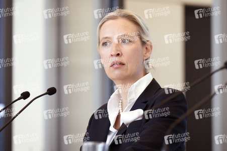 Fraktionssitzung der AfD-Bundestagsfraktion in Berlin
