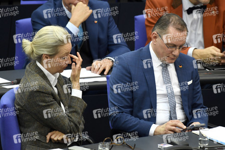 64. Sitzung des Deutschen Bundestages in Berlin