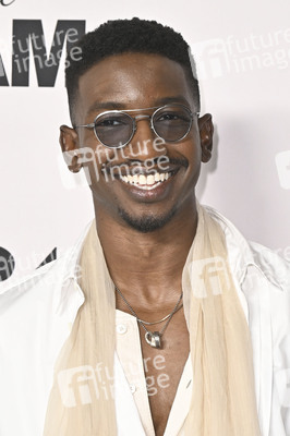 Filmpremiere 'Das Drama - Noch mal auf Anfang' in Los Angeles