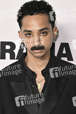 Filmpremiere 'Das Drama - Noch mal auf Anfang' in Los Angeles