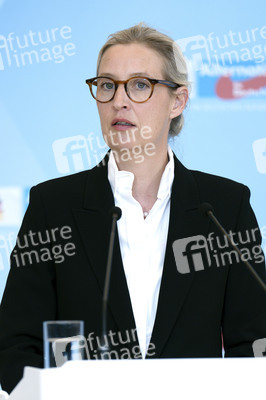 Fraktionssitzung der AfD-Bundestagsfraktion in Berlin